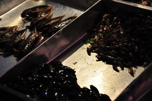 11 Makanan gorengan paling aneh sedunia, ada Coca Cola goreng! 11 Makanan gorengan paling aneh sedunia, ada Coca Cola goreng!