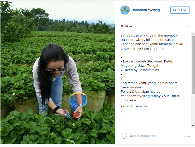 15 Lokasi Instagramable yang bikin kamu pengen piknik ke sana