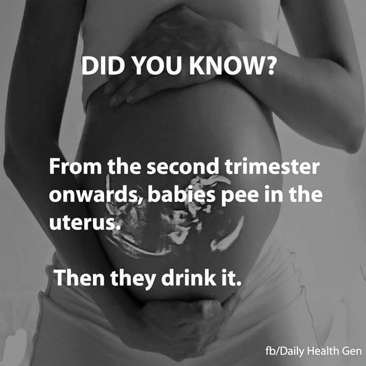 11 Fakta mencengangkan tentang kehamilan, diperhatikan ya 'bumil'...