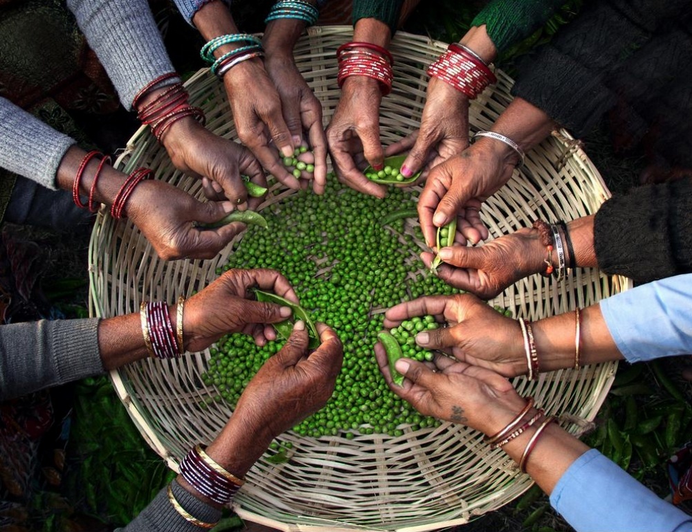  20 Foto terbaik National Geographic 2015, angle dan momennya 'mahal'