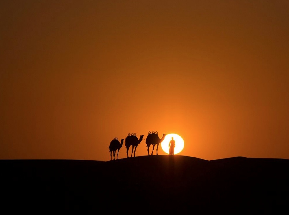  20 Foto terbaik National Geographic 2015, angle dan momennya 'mahal'