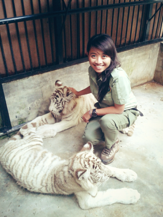 Ticta, dokter hewan cantik yang dedikasikan hidupnya untuk satwa liar Ticta, dokter hewan cantik yang dedikasikan hidupnya untuk satwa liar