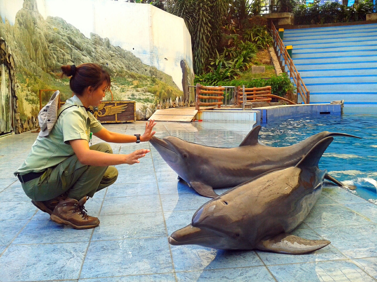 Ticta, dokter hewan cantik yang dedikasikan hidupnya untuk satwa liar