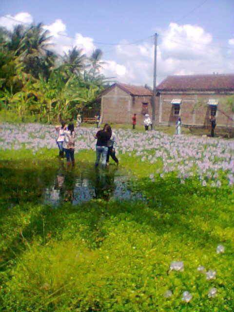 5 Kasus selfie paling bikin geram netizen Indonesia di penghujung 2015