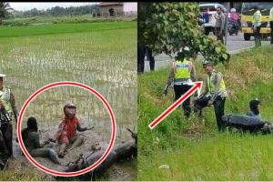 Hindari razia polisi, pemotor ini gugup, kabur malah nyemplung sawah!