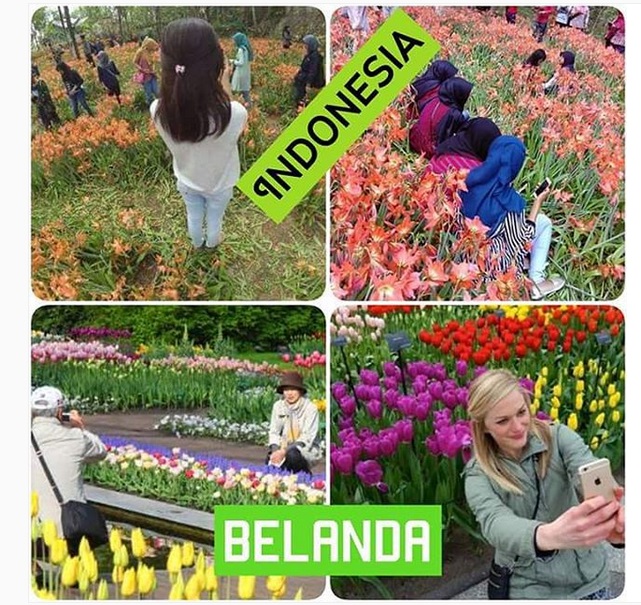 45 Kompilasi meme hits sepanjang 2015, dijamin bikin perut mules! 45 Kompilasi meme hits sepanjang 2015, dijamin bikin perut mules!