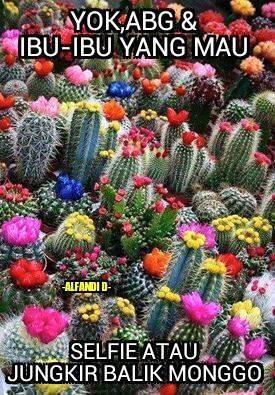 45 Kompilasi meme hits sepanjang 2015, dijamin bikin perut mules! 45 Kompilasi meme hits sepanjang 2015, dijamin bikin perut mules!