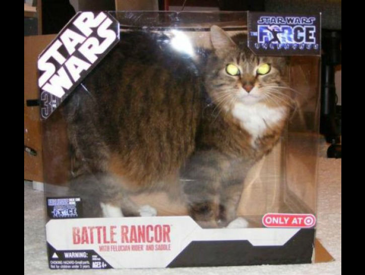 18 Cosplay tokoh Star Wars ini lucu abis, dijamin kamu ngakak!