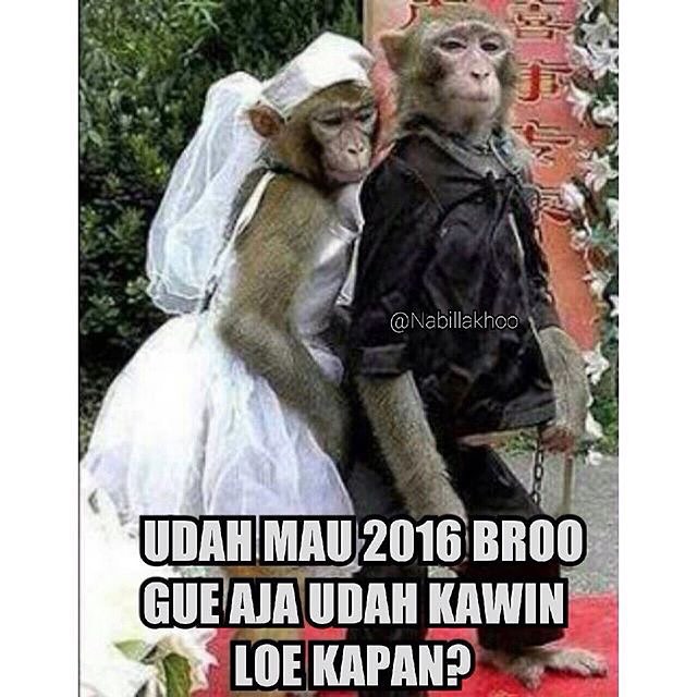 20 Meme tahun baru 2016 yang bikin kamu ketawa ngakak 20 Meme tahun baru 2016 yang bikin kamu ketawa ngakak