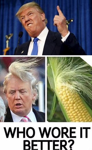 15 Tokoh ini sering dijadikan meme di tahun 2015, siapa saja ya?