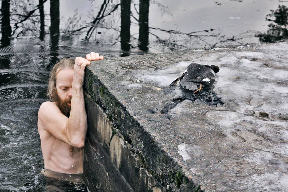 Pria ini menyelamatkan seekor itik dari danau yang beku, mengharukan!