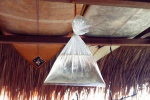 Air dalam plastik ternyata manjur buat pedagang, khasiatnya apa ya?