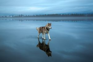 15 Foto ini bukan hasil editan Photoshop tapi mengagumkan