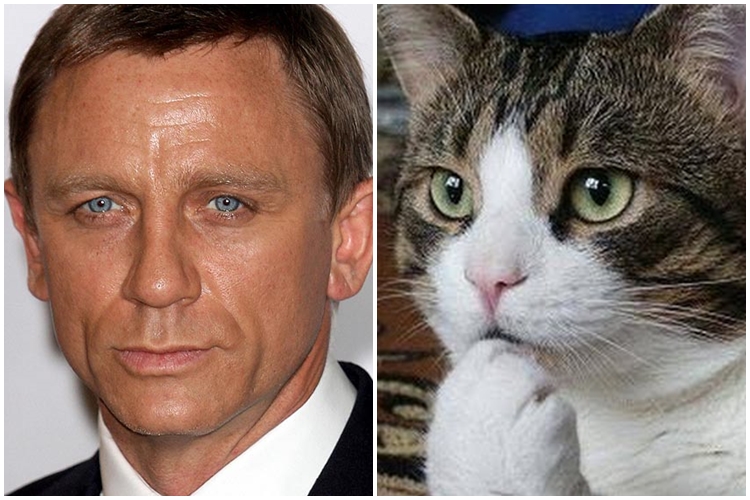 Hewan-hewan ini pernah 'perankan' James Bond, apa saja ya? 