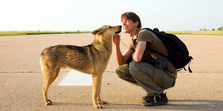 Ini 10 Alasan mengapa memelihara anjing baik untuk kesehatanmu Ini 10 Alasan mengapa memelihara anjing baik untuk kesehatanmu