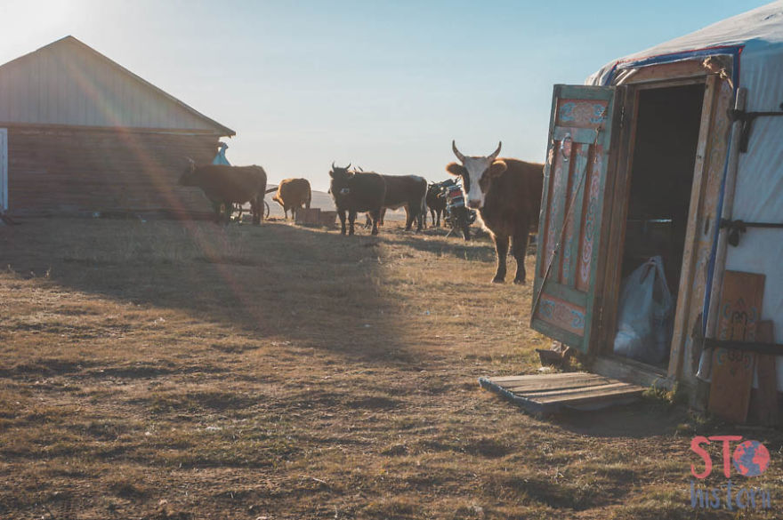 15 Foto menakjubkan kehidupan nomaden bangsa Mongolia, luar biasa!