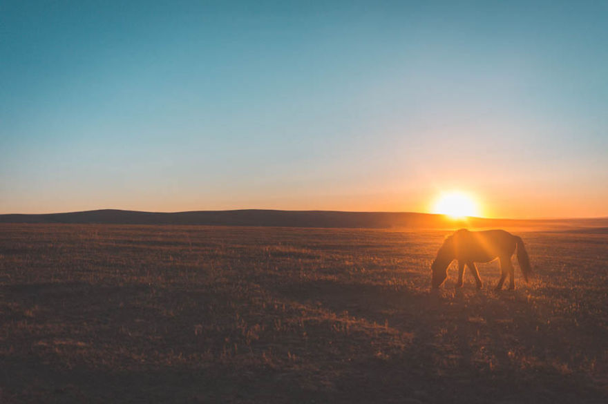 15 Foto menakjubkan kehidupan nomaden bangsa Mongolia, luar biasa!
