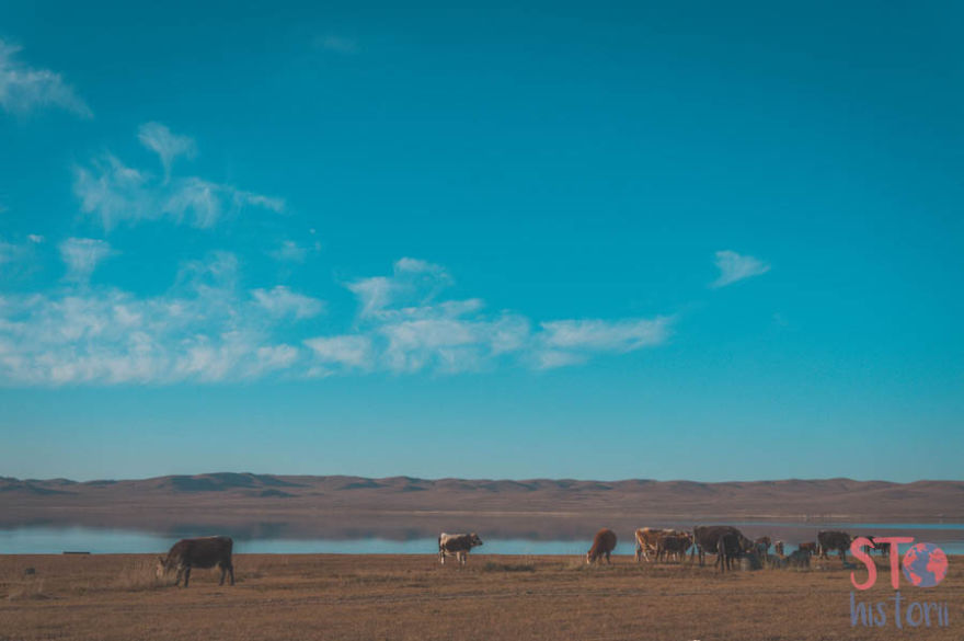 15 Foto menakjubkan kehidupan nomaden bangsa Mongolia, luar biasa!