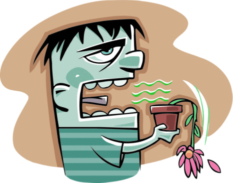 8 Manfaat yang nggak kamu sadari dari segelas teh jahe untuk kesehatan