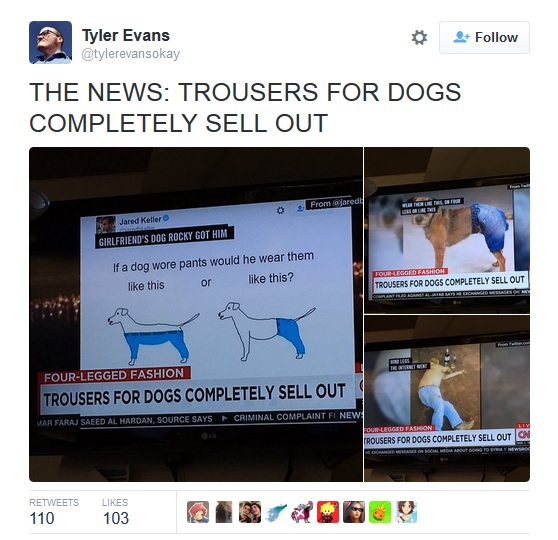 Netizen berdebat soal cara benar anjing memakai celana, duh!