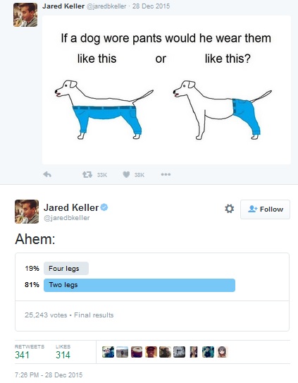 Netizen berdebat soal cara benar anjing memakai celana, duh!