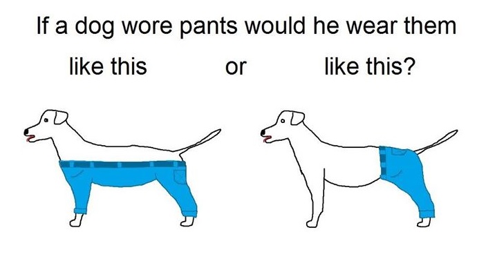 Netizen berdebat soal cara benar anjing memakai celana, duh!