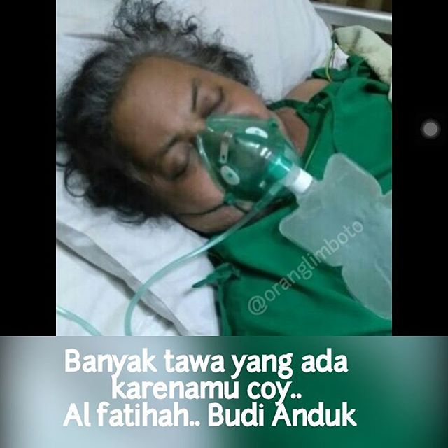 18 Meme lucu ini bikin kamu kangen berat sama Budi Anduk, sikat coy! 18 Meme lucu ini bikin kamu kangen berat sama Budi Anduk, sikat coy!