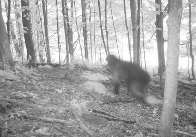 12 Foto ini dijamin bikin bulu kuduk merinding! Lihat aja kalau berani