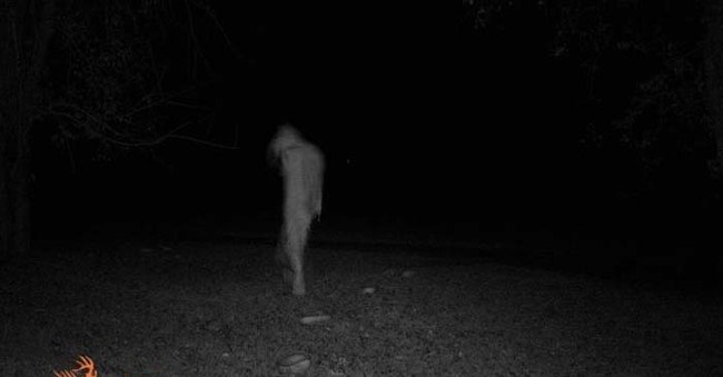 12 Foto ini dijamin bikin bulu kuduk merinding! Lihat aja kalau berani