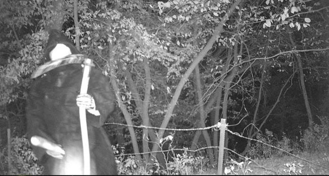 12 Foto ini dijamin bikin bulu kuduk merinding! Lihat aja kalau berani