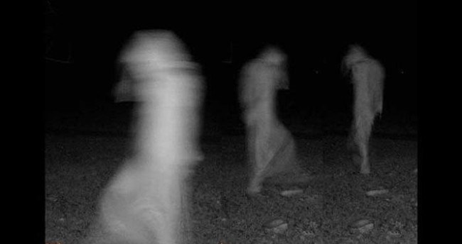 12 Foto ini dijamin bikin bulu kuduk merinding! Lihat aja kalau berani