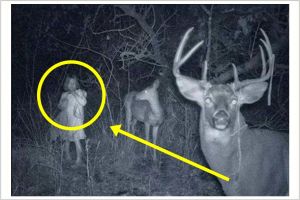 12 Foto ini dijamin bikin bulu kuduk merinding! Lihat aja kalau berani