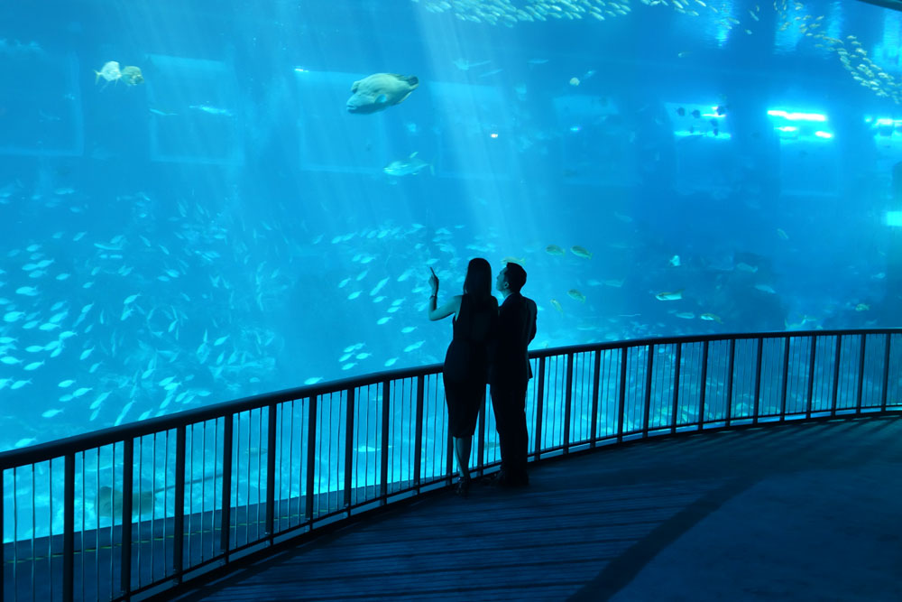 Ini 'resep' harmonis hubungan Donnie Yen & Cecilia Wang, bikin iri deh