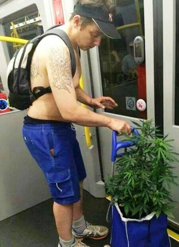 20 Tingkah aneh penumpang kereta api dari yang unik hingga nyebelin! 20 Tingkah aneh penumpang kereta api dari yang unik hingga nyebelin!