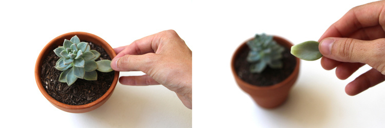 13 Cara kreatif yang bisa jadi solusi keseharian kamu