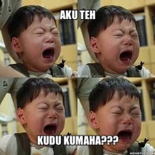 22 Meme Daehan Minguk Manse yang ngegemesinnya minta ampun!