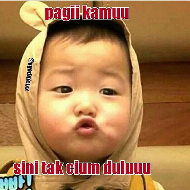 22 Meme Daehan Minguk Manse yang ngegemesinnya minta ampun!