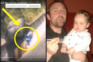 Kisah luar biasa, pria ini pernah diselamatkan gorila 30 tahun lalu