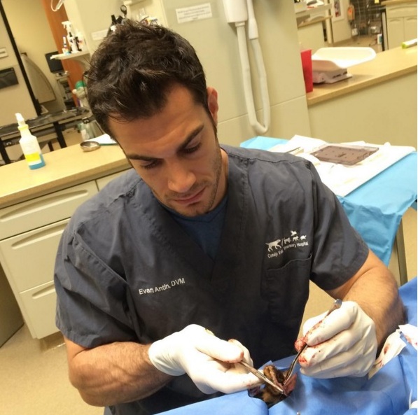 Dokter hewan ini ganteng banget, dijamin bikin kamu klepek-klepek! Dokter hewan ini ganteng banget, dijamin bikin kamu klepek-klepek!