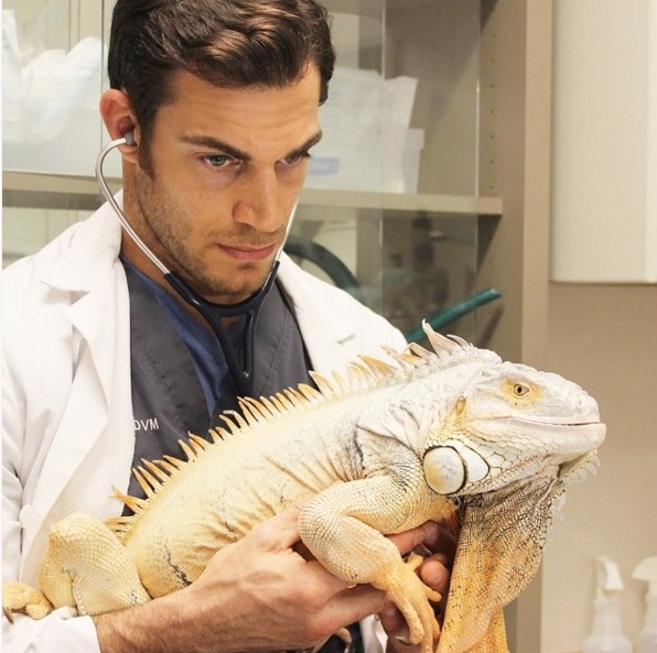Dokter hewan ini ganteng banget, dijamin bikin kamu klepek-klepek! Dokter hewan ini ganteng banget, dijamin bikin kamu klepek-klepek!