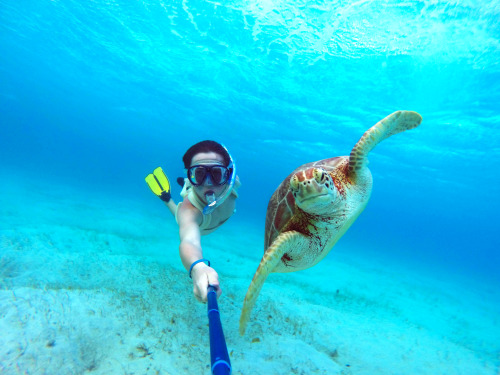 Kuasai 10 tips praktis foto underwater ini biar jepretanmu makin keren Kuasai 10 tips praktis foto underwater ini biar jepretanmu makin keren