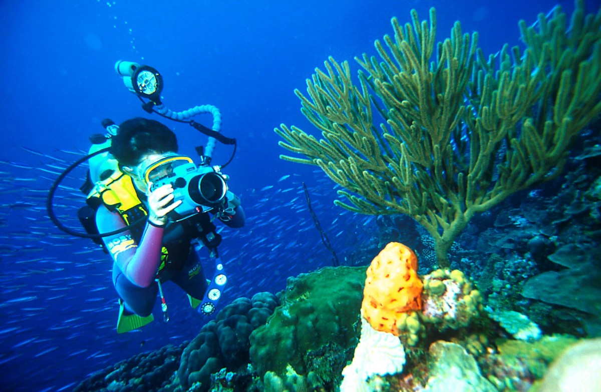10 Destinasi laut Indonesia ini wajib kamu kunjungi! 