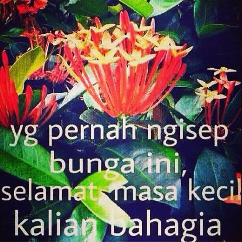 Jika kamu pernah mengalami 32 meme ini, masa kecilmu terselamatkan Jika kamu pernah mengalami 32 meme ini, masa kecilmu terselamatkan