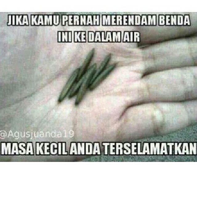 Jika kamu pernah mengalami 32 meme ini, masa kecilmu terselamatkan Jika kamu pernah mengalami 32 meme ini, masa kecilmu terselamatkan