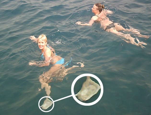 10 Foto penampakan hantu yang dipercaya bukan rekayasa, serem!  10 Foto penampakan hantu yang dipercaya bukan rekayasa, serem!