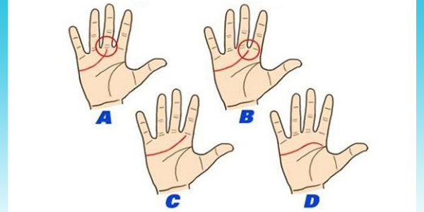 Cara membaca garis tangan untuk menguak kepribadian, sudah coba? Cara membaca garis tangan untuk menguak kepribadian, sudah coba?