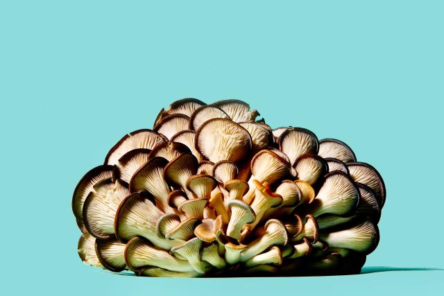 Jarang disadari ternyata 13 bahan makanan ini terbukti sehat lho!