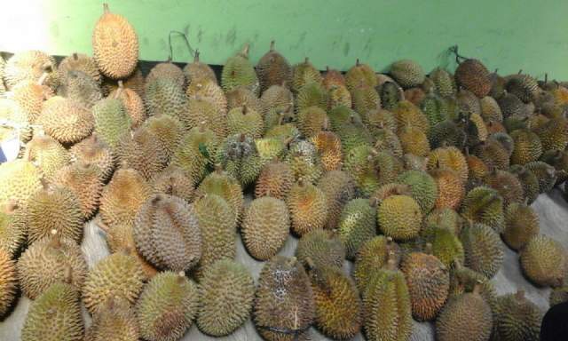 Gemari durian Kaligesing, peserta lomba makan durian membludak 