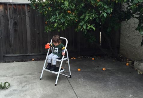 Ini wajah ganteng El, anak Jessica Iskandar yang bule banget  Ini wajah ganteng El, anak Jessica Iskandar yang bule banget