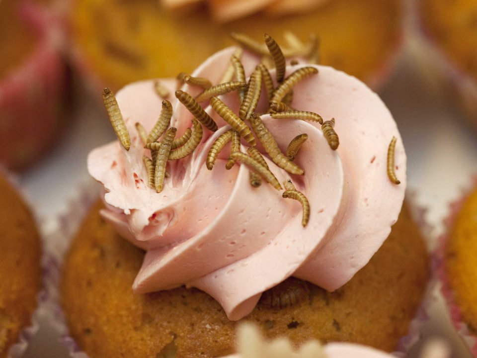 30 Pengalaman yang harusnya sudah kamu jalani sebelum usia 30 tahun